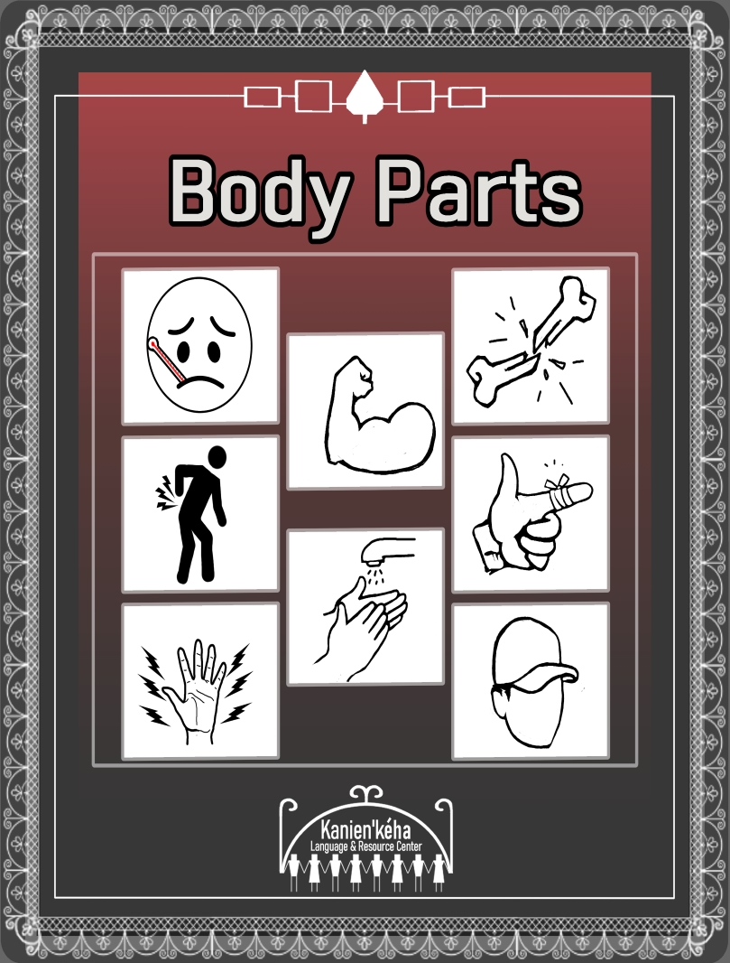 Body Parts Booklet