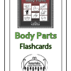 Body Parts flashcards 4x6