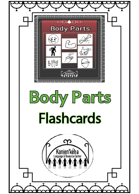 Body Parts flashcards 4x6