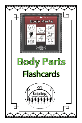 Body Parts flashcards 4x6