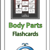 Body Parts flashcards 4x6