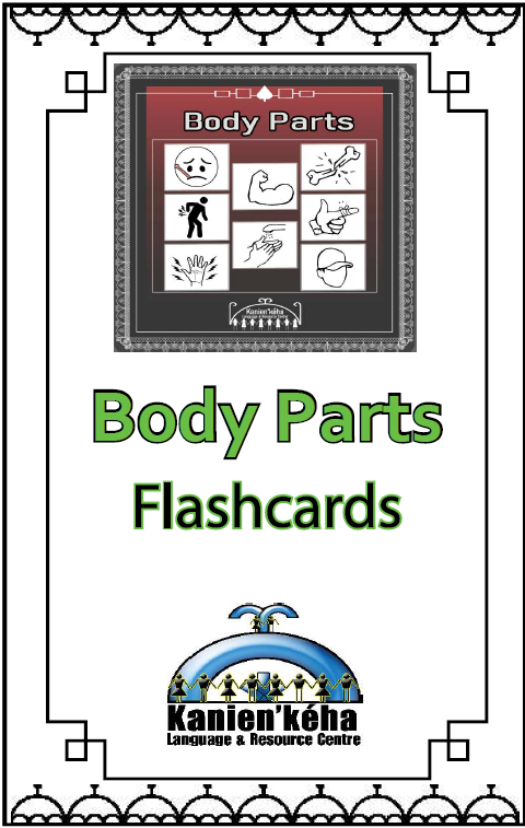 Body Parts flashcards 4x6