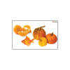 Kanien'kéha Color Orange Flashcard