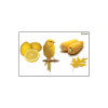 Kanien'kéha Color Yellow Flashcard