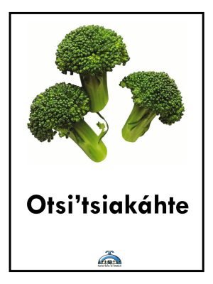 Vegetables Poster 8 x 11