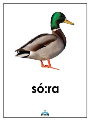 Animals - Farm Animals & Pets poster 8 x 11