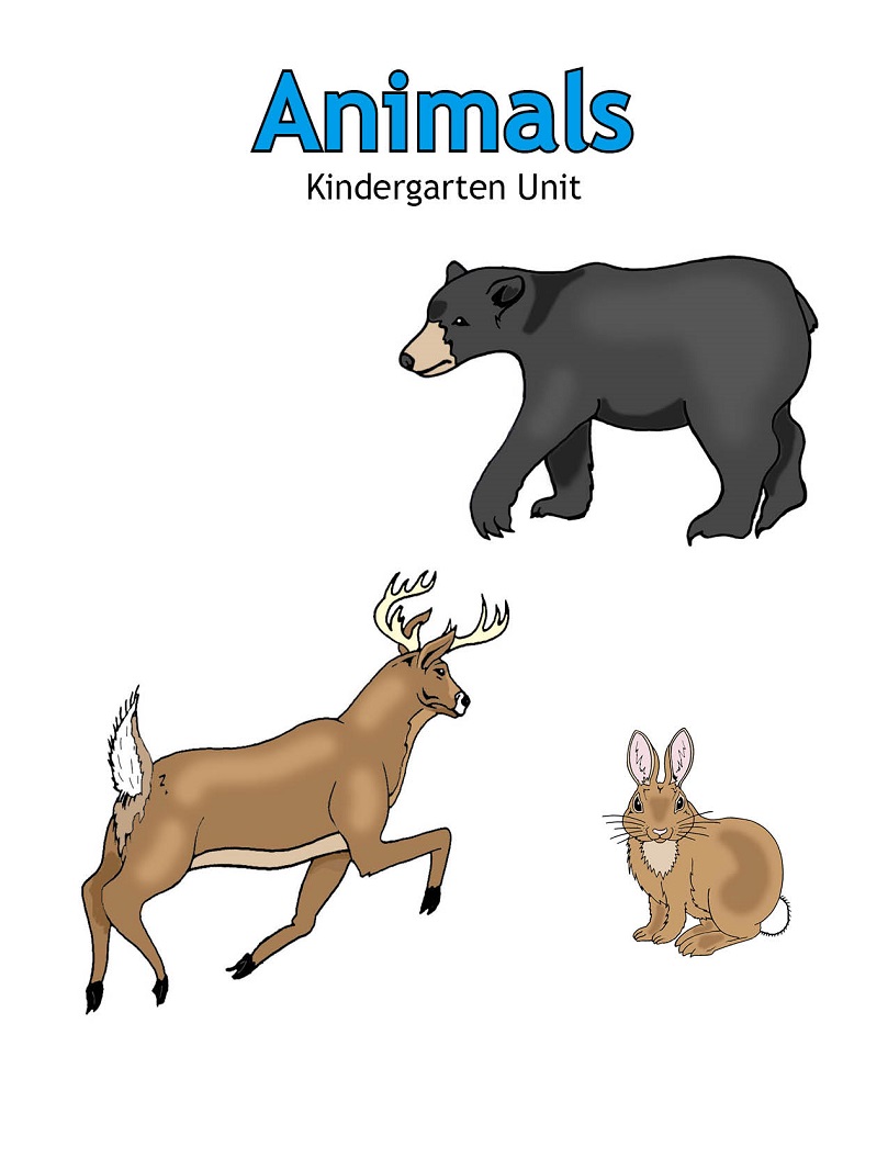 Animals Coloring Book