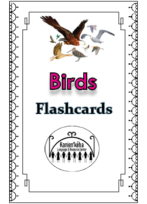 Birds flashcards 4x6