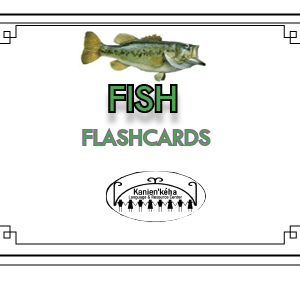 Fish flashcards 4x6
