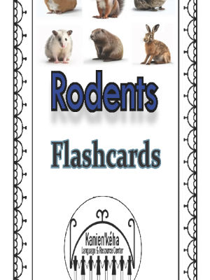 Rodents flashcards 4x6