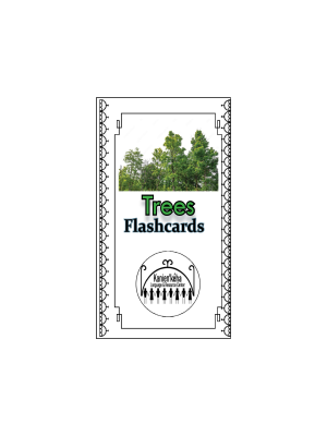 Trees flashcards 4x6