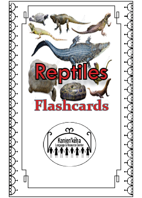 Reptiles flashcards 4x6